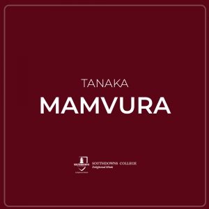 Tanaka Mamvura