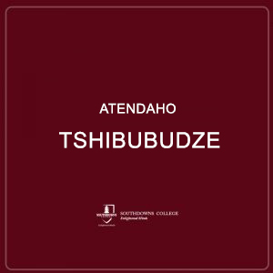 Atendaho Tshibubudze