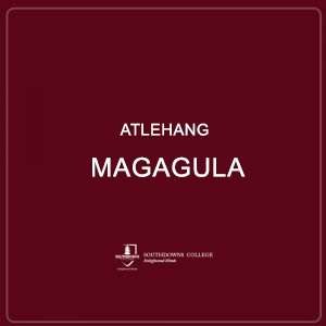 Atlehang Magagula