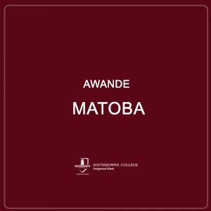 Awande Matoba