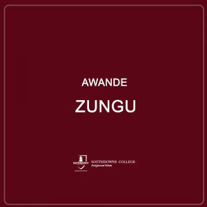 Awande Zungu