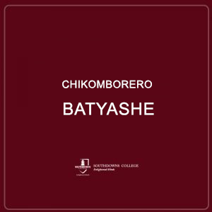 Chikomborero Batyashe