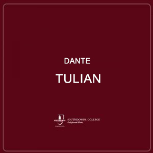 Dante Tulian