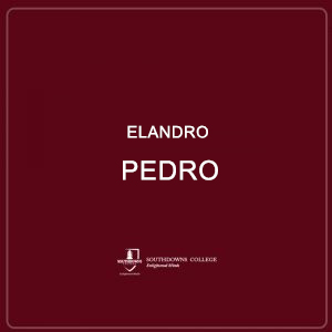 Elandro Pedro