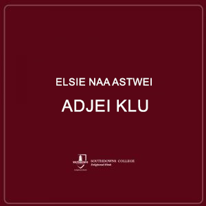 Elsie Naa astwei Adjei Klu