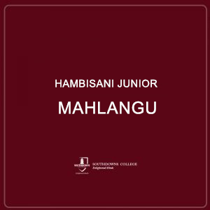 Hambisani Junior Mahlangu