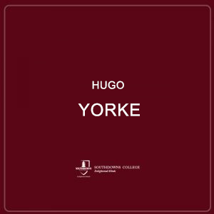 Hugo Yorke