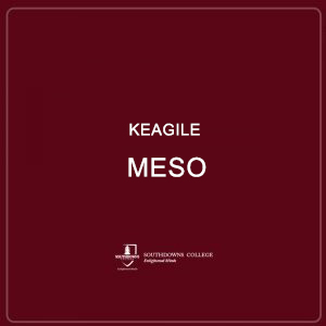 Keagile Meso