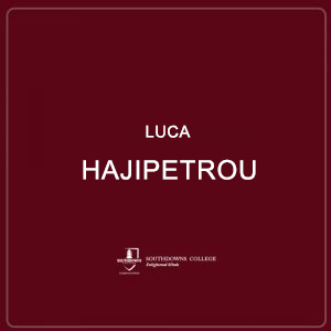 Luca Hajipetrou