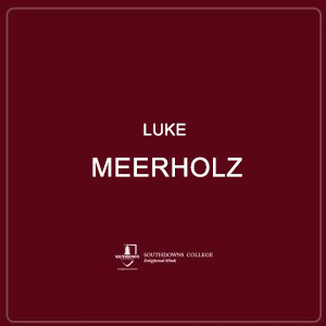 Luke Meerholz