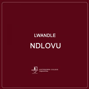 Lwandle Ndlovu