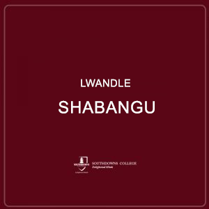 Lwandle Shabangu