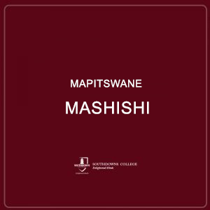 Mapitswane Mashishi