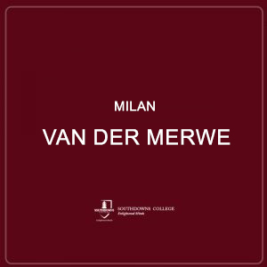 Milan Van Der Merwe