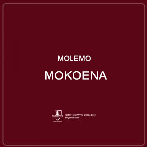 Molemo Mokoena