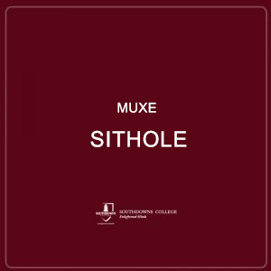 Muxe Sithole