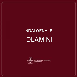 Ndaloenhle Dlamini