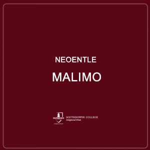 Neoentle Malimo