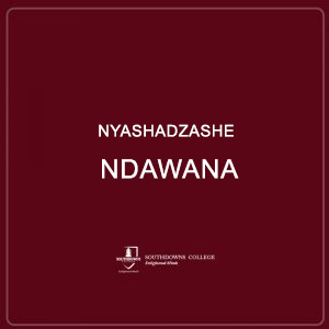 Nyashadzashe Ndawana