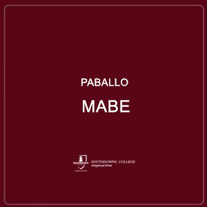 Paballo Mabe