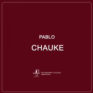 Pablo Chauke