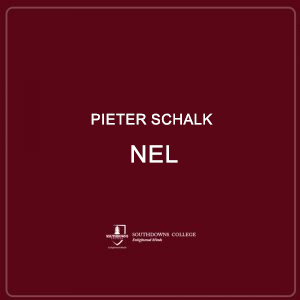 Pieter Schalk Nel