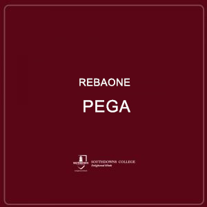 Rebaone Pega