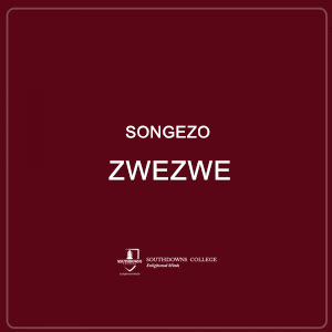 Songezo Zwezwe