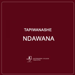 Tapiwanashe Ndawana