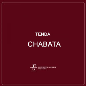 Tendai Chabata