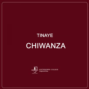 Tinaye Chiwanza