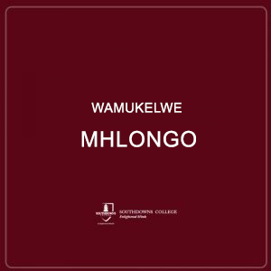 Wamukelwe Mhlongo