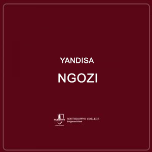 Yandisa Ngozi