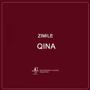 Zimile Qina